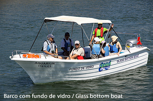 Barco com fundo de vidro / Glass bottom boat