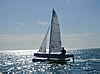 Sailing - Lagos, Algarve